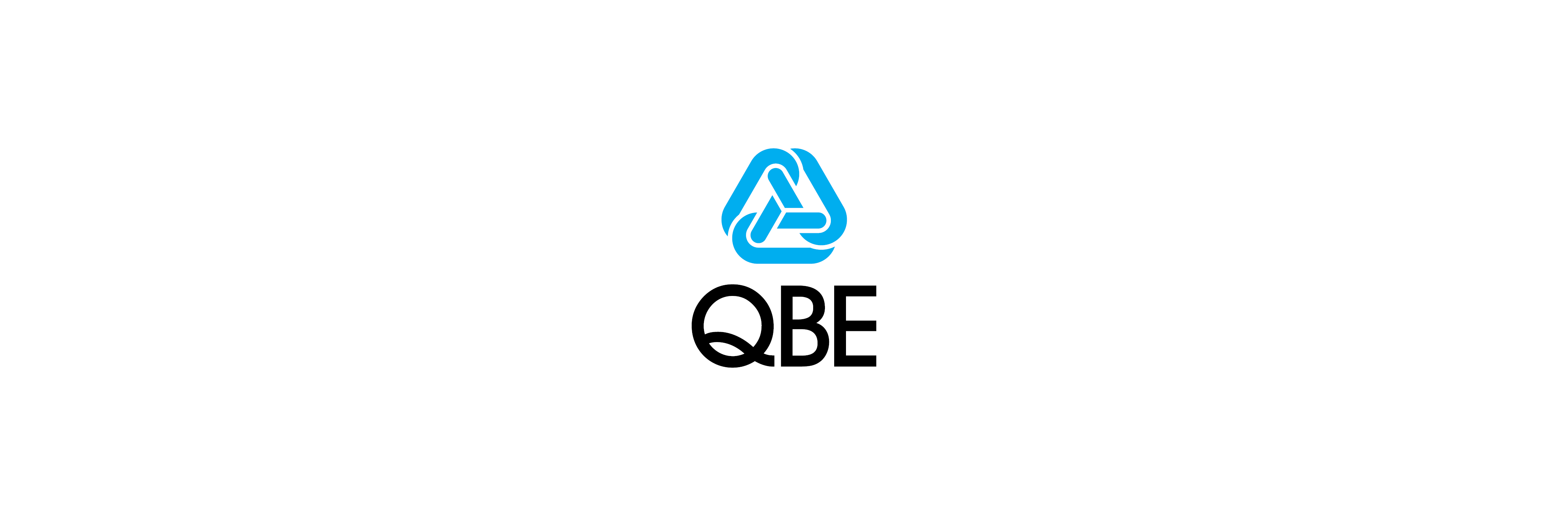 qbe domestic travel insurance